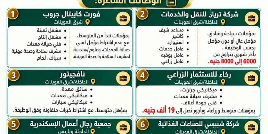 فرص عمل جديدة بالوادي الجديد براتب يصل إلى 19 ألف جنيه