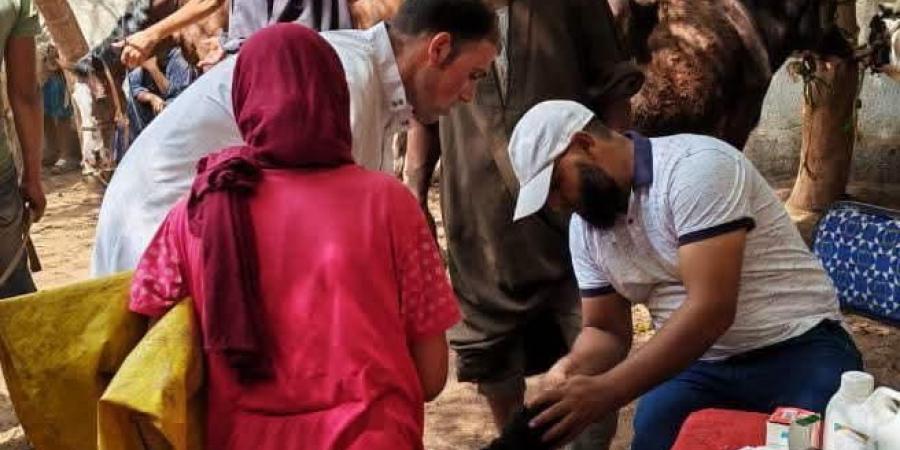 الزراعة: فحص وعلاج 114 ألف رأس ماشية و153 ألف طائر في 276 قرية