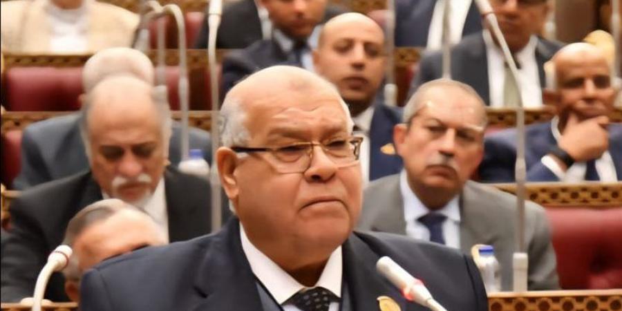 الشهابي: لولا تدخل الرئيس لتم تطبيق قانون الإجراءات الجنائية غدا والتأجيل يقتضي تعديلا تشريعيا