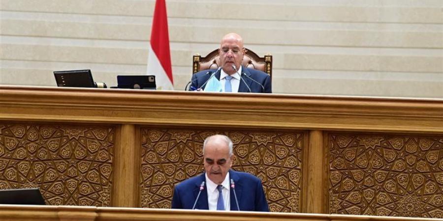 نائبة بالجلسة الطارئة بالبرلمان: فلتبقى حقوق المصريين مصانة ولترحل الحكومة