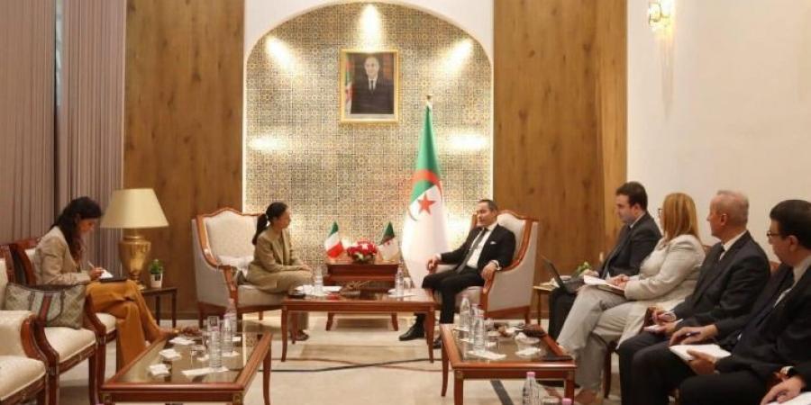 لقاء جزائري - إيطالي للدفع بأضخم مشروع زراعي لفرع " بي-آف الجزائر " بتيميمون