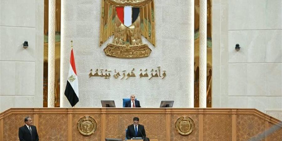 رئيس الشيوخ خلال افتتاح دور الانعقاد الثاني من العاصمة الجديدة: نبدأ مرحلة تاريخية
