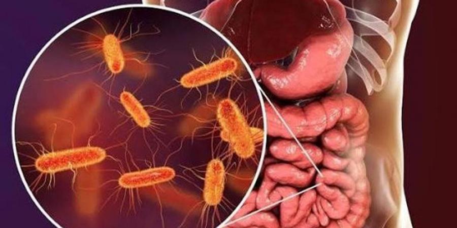 أسرار بكتيريا الأمعاء، دراسة تدق ناقوس الخطر عن علاقة معدل التبرز بصحة القلب والكلى