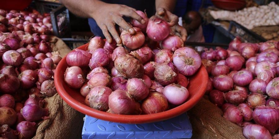 سعر الخضار اليوم، الطماطم تتهاوى وارتفاع 6 أصناف منها الفلفل الألوان والبصل