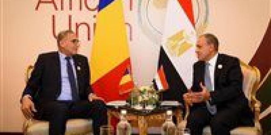 وزير الخارجية يلتقي نظيره التشادي الجديد على هامش منتدى العلمين إفريقيا