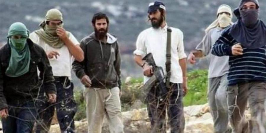 إصابة 5 فلسطينيين إثر اعتداء مستوطنين عليهم بالضفة الغربية
