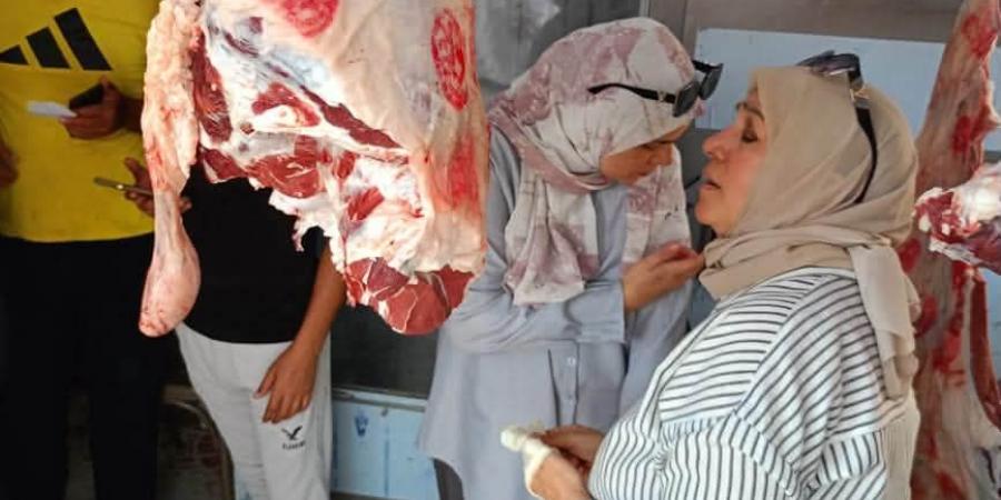 ضبط لحوم فاسدة ومذبوحة خارج المجازر في حملة مكبرة بدمياط