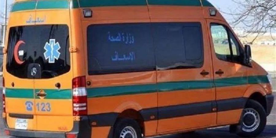 إصابة شاب بطلق خرطوش في مشاجرة بميت تمامة بالدقهلية