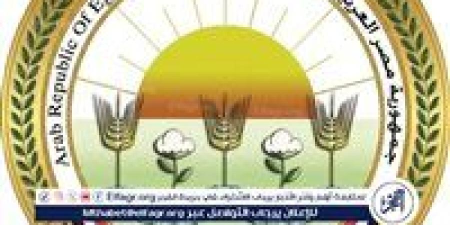 زراعة المنيا تعلن غدا بدء حملة موسعة لمكافحة القوارض عقب حصاد المحاصيل الصيفية