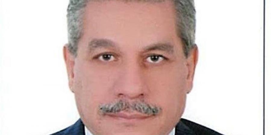 الدكتور أمين لطفي يكتب: التمكين المؤسسي للقطاع الخاص في الجمهورية الجديدة.. الداء والدواء