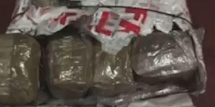 حجز أزيد من 144 كلغ من الكيف وتوقيف شخصين ببجاية