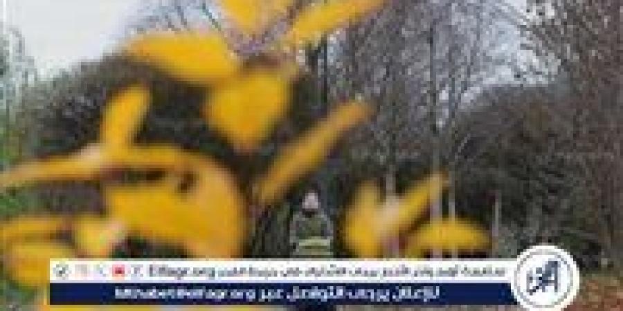 الطقس غدًا الاثنين 5 أكتوبر 2026.. انخفاض في الحرارة وأمطار متفاوتة الشدة والعظمى بالقاهرة 29 درجة