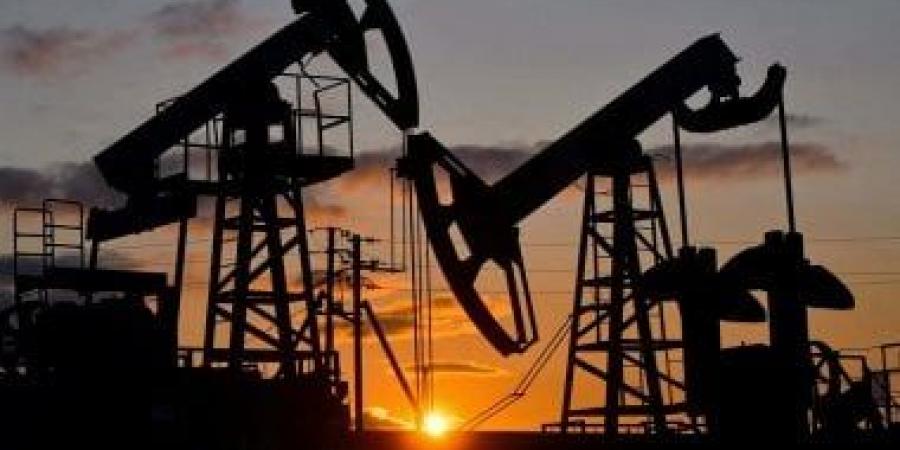 وزير النفط العراقى: الأزمة بدأت تتهاوى ونخطو خطوات واثقة لدعم الاقتصاد الوطني