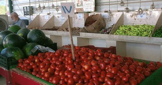 الطماطم بـ17 جنيها.. أسعار الفاكهة والخضار بالوادى الجديد اليوم الثلاثاء