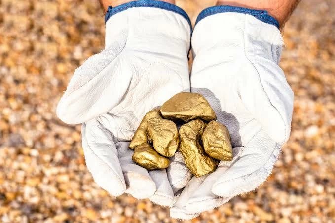 بعد أن تجاوز الدولار 55 جنيها.. ماذا حدث في سعر الذهب؟
