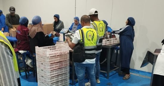 سلامة الغذاء بالإسماعيلية تضبط 6.3 طن أغذية مجمدة فاسدة خلال حملات على الأسواق