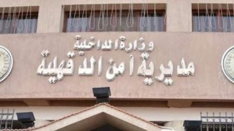 «أمن الدقهلية» يكثف جهوده لكشف واقعة العثور على رضيع داخل حمام مستشفى
