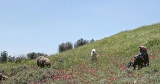فيلم Concrete Land بمهرجان لندن السينمائى.. عائلة فلسطينية تواجه معاناة التهجير