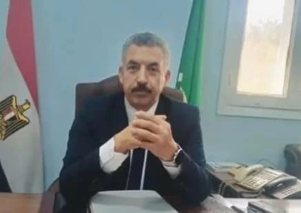 اجتماعات تنسيقية للنهوض بزراعة 224 ألف فدان قمح بالمنيا