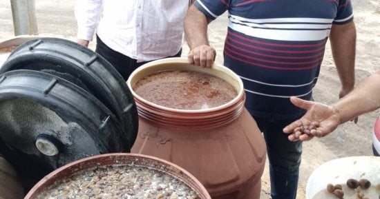صحة الشرقية تضبط وتعدم 24.3 طن مخللات مخالفة خلال حملة تفتيشية ببلبيس