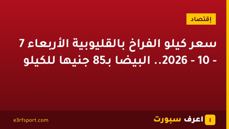 سعر كيلو الفراخ بالقليوبية الأربعاء 7 - 10 - 2026.. البيضا بـ85 جنيها للكيلو
