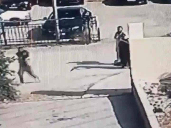 أمين عام الإفتاء الأردني: هجوم كنيسة الكرك استهدف وحدة الشعب