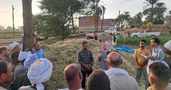 محافظ أسيوط: تدريب المزارعين على إعداد السيلاج بقرى الفتح بالشراكة مع «الفاو»