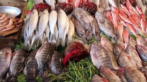 ​البلطي يبدأ من 90 جنيهاً.. أسعار الأسماك والمأكولات البحرية في أسواق القليوبية