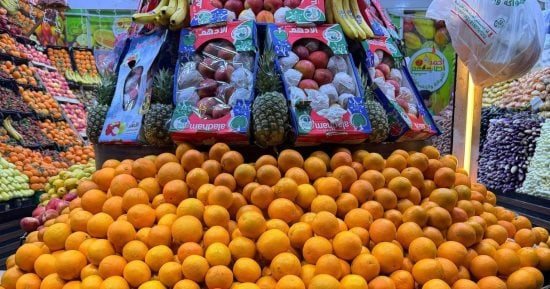 أسعار الفاكهة بأسواق مطروح اليوم الأحد 18-10-2026.. البرتقال بـ25 جنيها