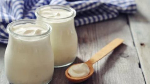 هل الزبادى اليونانى أكثر صحة من البلدى.. مقارنة توضح