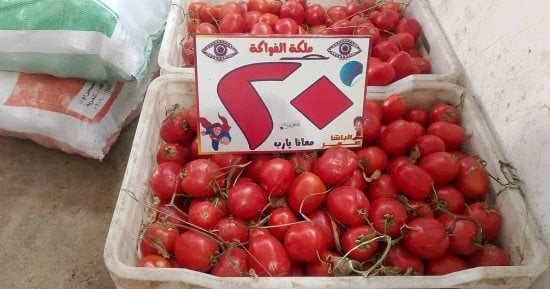 أسعار الفاكهة والخضراوات بكفر الشيخ السبت 24 أكتوبر 2026.. الطماطم بـ20 جنيها