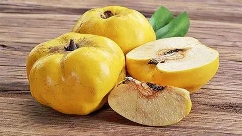 السفرجل يدعم المناعة ويحسّن صحة القلب