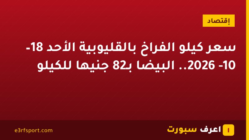 سعر كيلو الفراخ بالقليوبية الأحد 18– 10- 2026.. البيضا بـ82 جنيها للكيلو