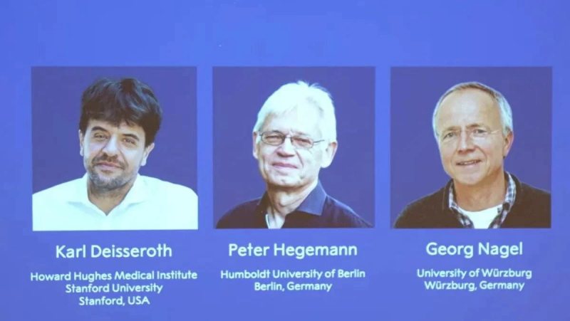 «اكتشفوا قنوات الأيونات الحساسة للضوء».. الهيئة المانحة تعلن الفائزين بـ«نوبل للطب» 2026