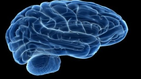 الاكتئاب مش نوع واحد.. دراسة تكشف 5 أنماط مختلفة للمخ